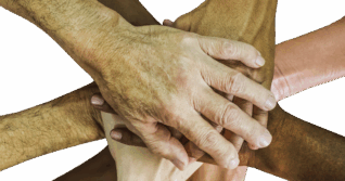 Miten tekoäly voisi lisätä ymmärrystämme monimuotoisuudesta?